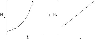 [Graphs of N versus t and ln N versus t
-- exponential population growth]